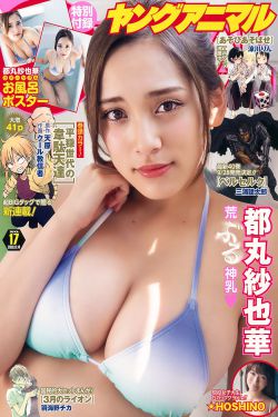 理想之城电视剧免费观看完整版